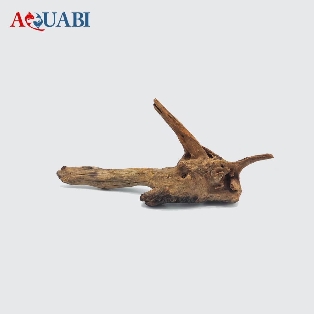 تنه چوب آبنوس AB-23