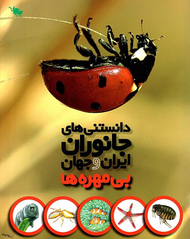 دانستنی های جانوران ایران و جهان – بی مهره ها