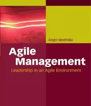 دانلود کتاب Agile Management: Leadership in an Agile Environment – مدیریت چابک: رهبری در یک محیط چابک