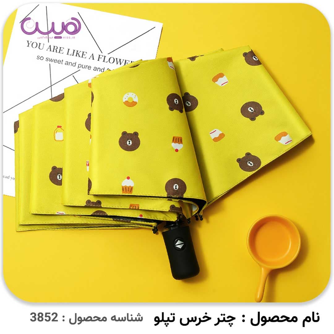 چتر خرس تپلو — تصویر ۴