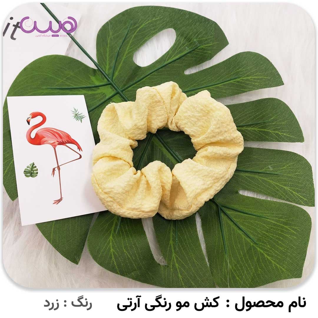 کش مو رنگی آرتی — تصویر ۴