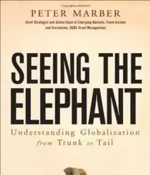دانلود کتاب Seeing the Elephant: Understanding Globalization From Trunk to Tail – دیدن فیل: درک جهانی سازی از تنه به…
