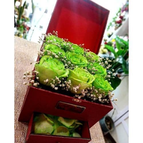 باکس گل رز سبز و ژیپسوفیلیا 6119