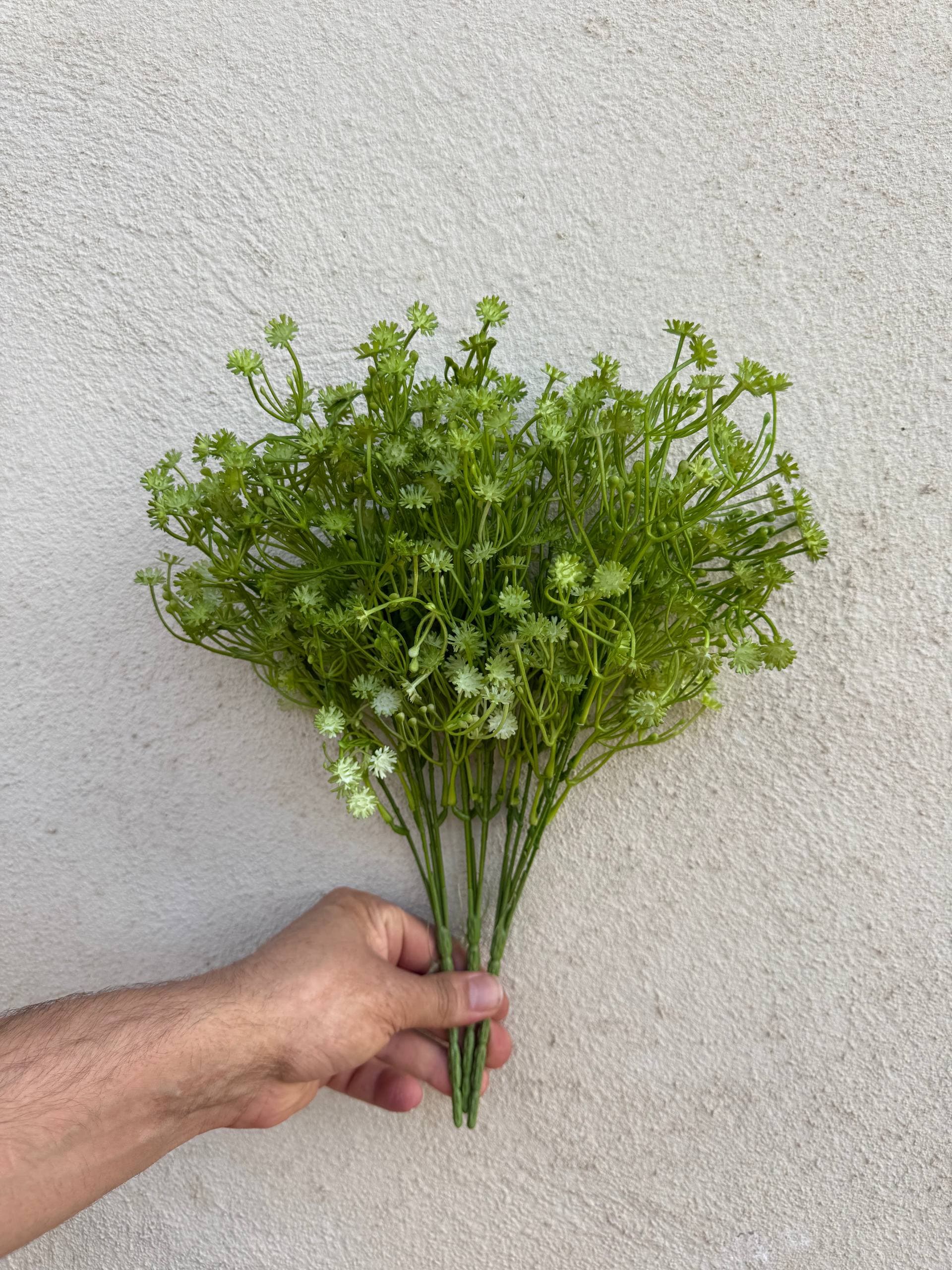 بوته عروس رنگی 5بازو