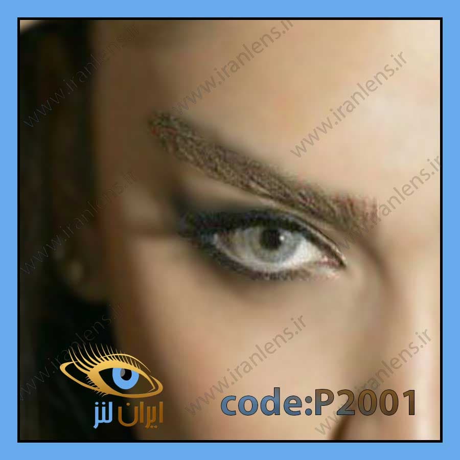 لنز طبی‌رنگی اوشن گری سالانه کد P2001