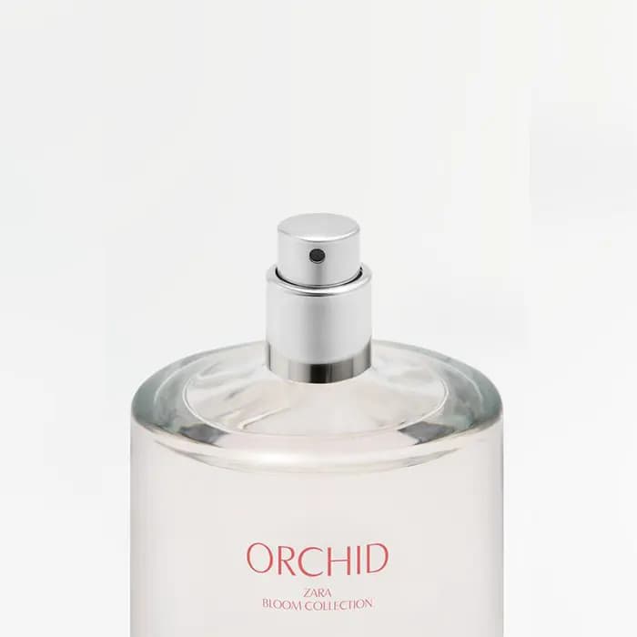 عطر زارا ارکید ORCHID (باز شده از پک) — تصویر ۳