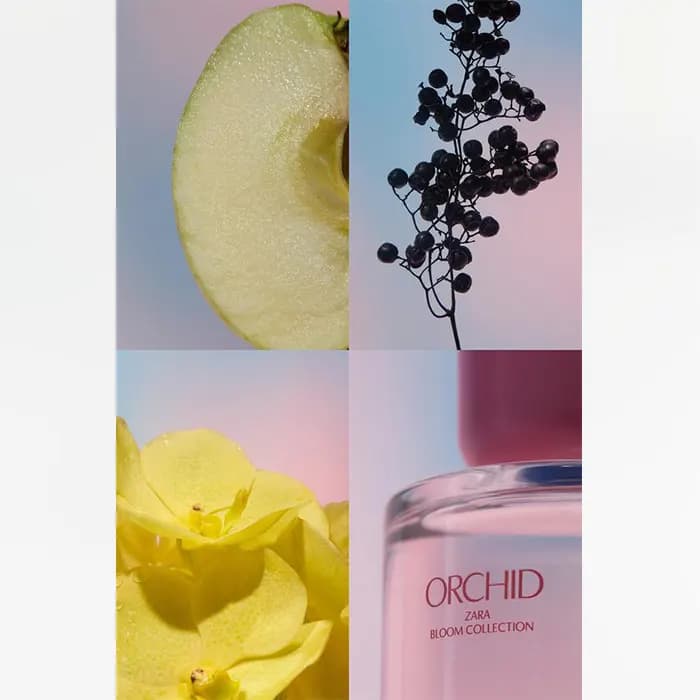 عطر زارا ارکید ORCHID (باز شده از پک) — تصویر ۲