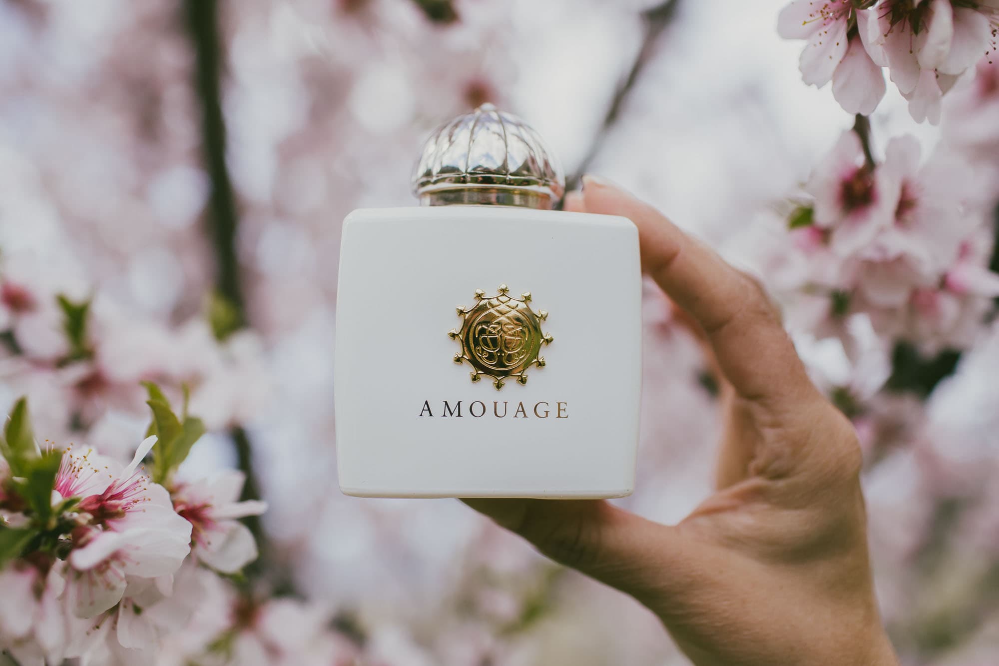 عطر ادکلن آمواج هانر زنانه Amouage Honour حجم ۱۰۰ میلی لیتر | Amouage Honour Eau De Parfum For Women 100 ml — تصویر ۴