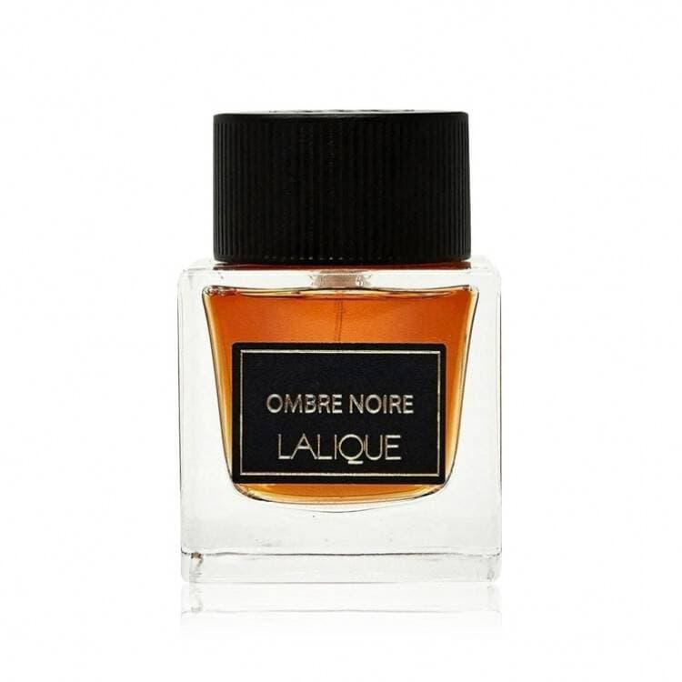 عطر ادکلن مردانه لالیک امبر نویر Lalique Ombre Noire حجم ۱۰۰ میلی لیتر | Lalique Ombre Noire Eau De Toilette For Men 100 ml