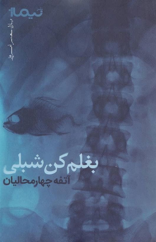 کتاب بغلم کن شبلی