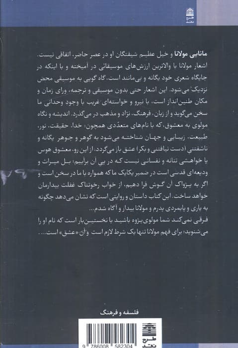درمانگری مولانا (چگونه 1 شاعر عارف آشفته حالی های زندگی مدرن مرا درمان کرد؟) — تصویر ۲