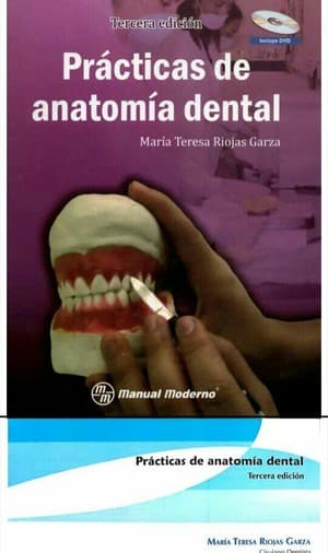 دانلود کتاب practicas de anatomia dental maria teresa riojas garza · versión