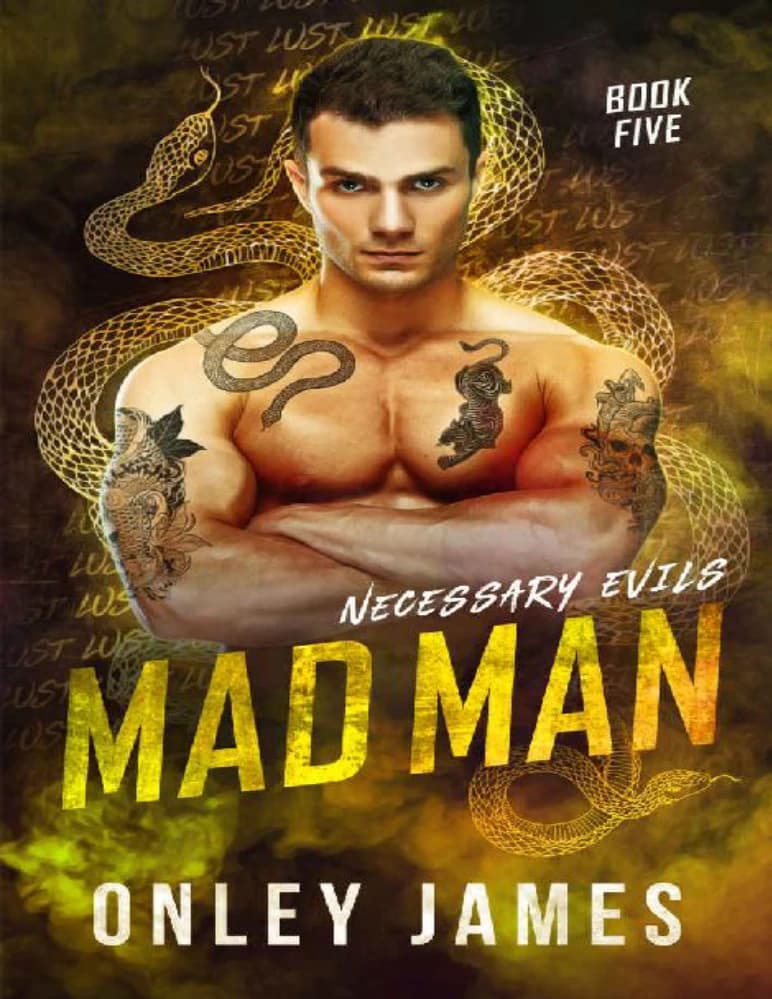 کتاب Mad Man (مرد دیوانه) نسخه انگلیسی PDF | آنلی جیمز