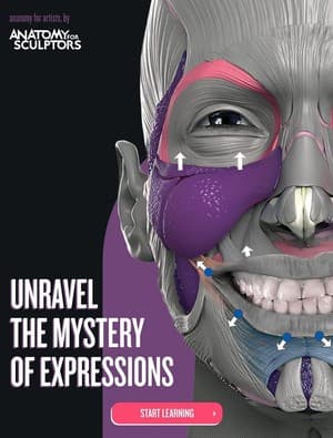 دانلود کتاب Anatomy of Facial Expression