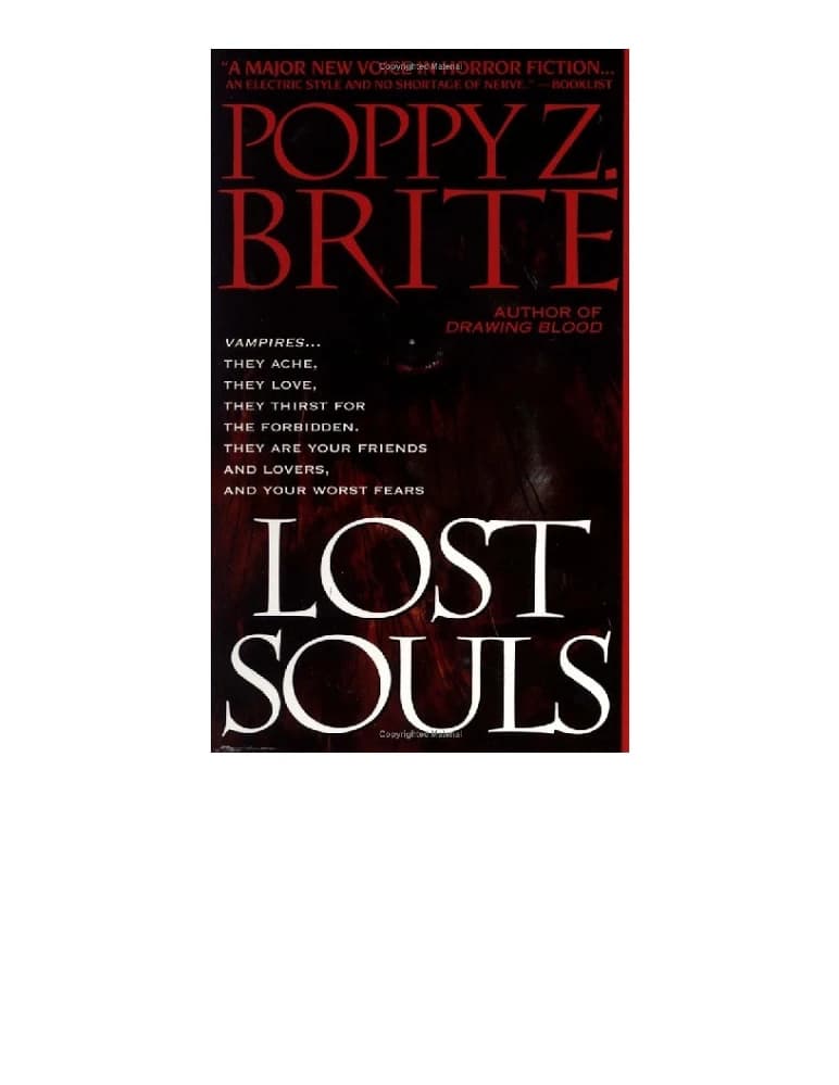 کتاب Lost Souls (ارواح گمشده) نسخه انگلیسی PDF | پاپی زی. برایت