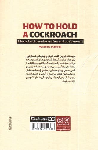 چطور یک سوسک را در دست بگیریم — تصویر ۲