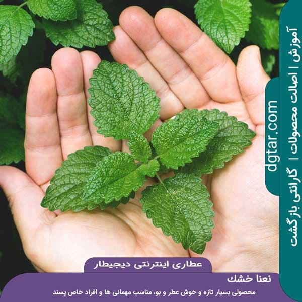 آموزش کامل خواص نعنا خشک + خرید اینترنتی