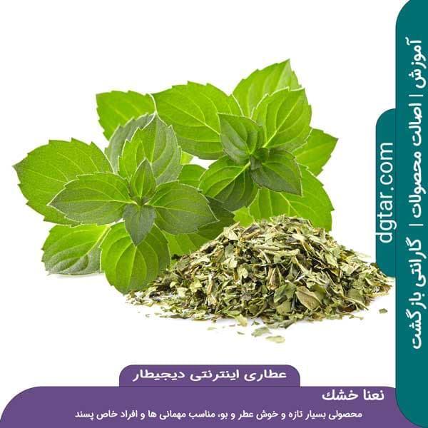 آموزش کامل خواص نعنا خشک + خرید اینترنتی — تصویر ۴