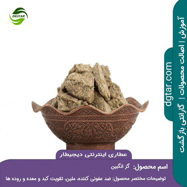 آموزش کامل خواص گز انگبین + خرید اینترنتی