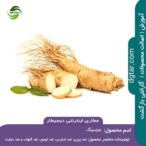جینسینگ سفید اصل + خرید اینترنتی