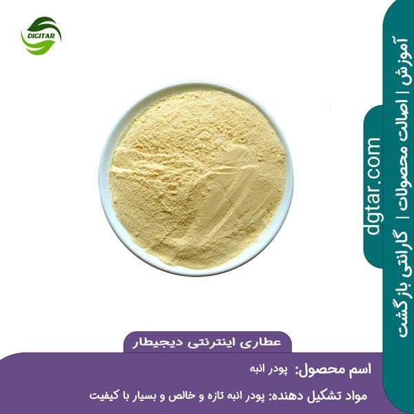 آموزش کامل خواص پودر انبه + خرید اینترنتی