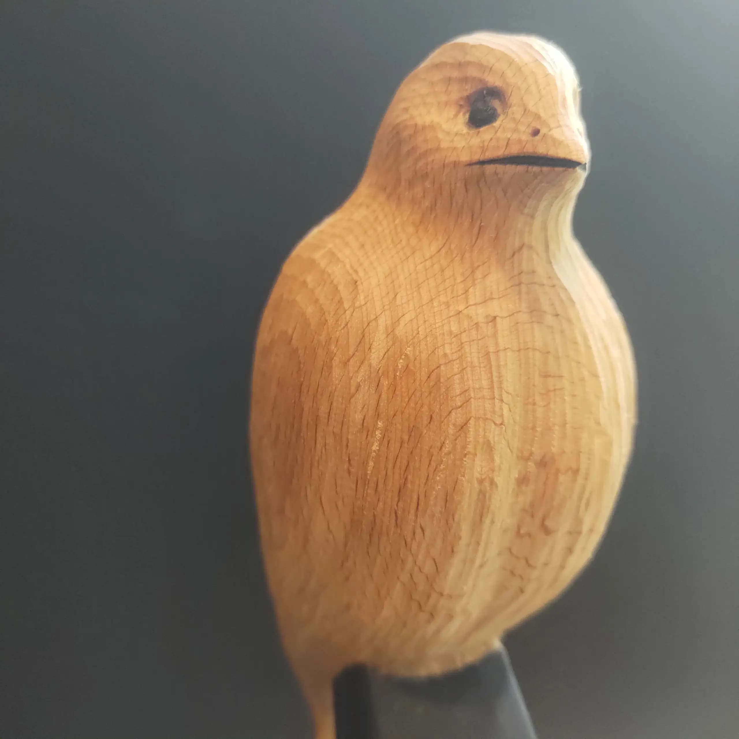 تندیس چکاوک ایستاده — تصویر ۶