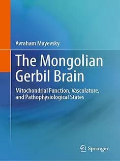 دانلود کتاب The Mongolian Gerbil Brain: Mitochondrial Function, Vasculature, and Pathophysiological States