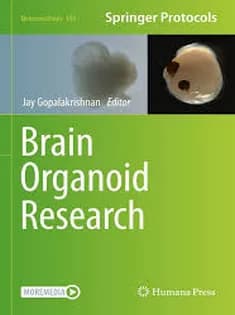 دانلود کتاب Brain Organoid Research