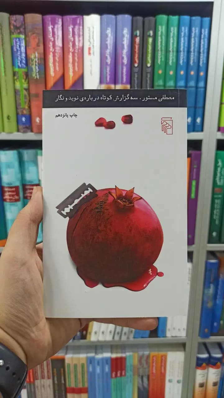 سه گزارش کوتاه درباره نوید و نگار مرکز