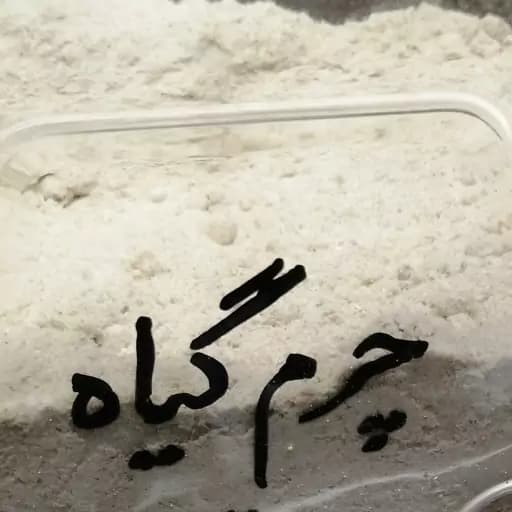 چرم گیاه 75 گرم — تصویر ۲