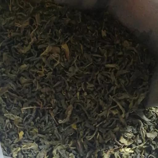 چای سبز لاهیجان یک کیلو — تصویر ۲