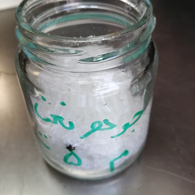 جوهر نعناع یک مثقال — تصویر ۵