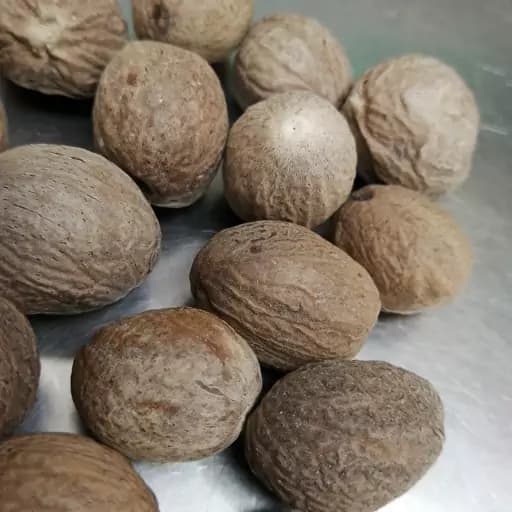 جوز هندی درجه یک (37 گرمی) — تصویر ۷