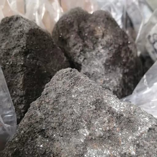 جاوی سیاه یک سیر — تصویر ۲