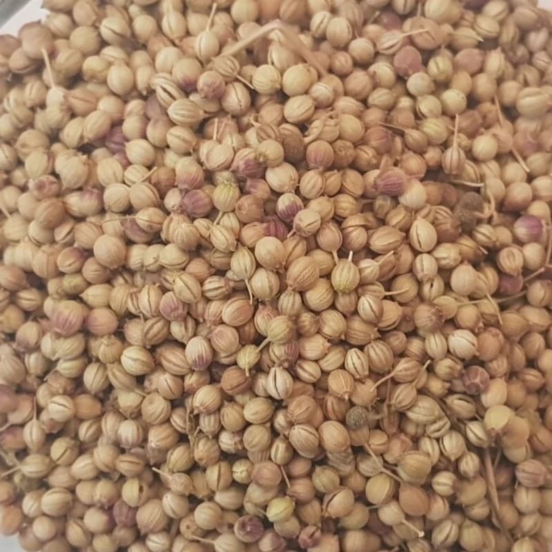 تخم گشنیز (کزبره) 40 گرم