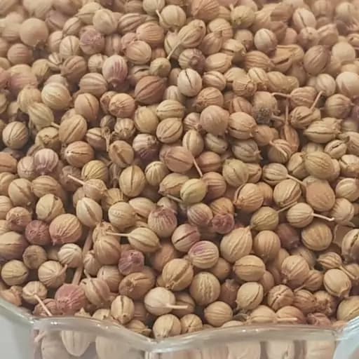 تخم گشنیز (کزبره) 40 گرم — تصویر ۲