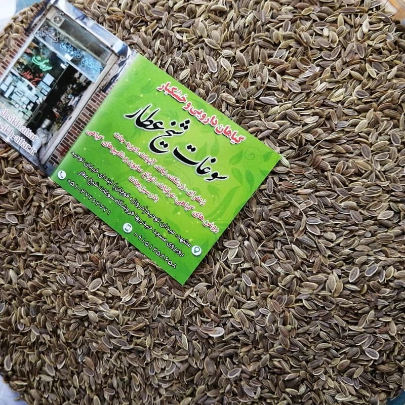 تخم شوید 75 گرم