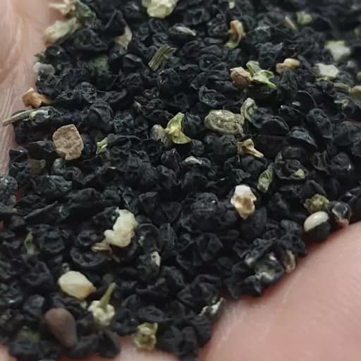 تخم تره (38 گرمی) — تصویر ۲