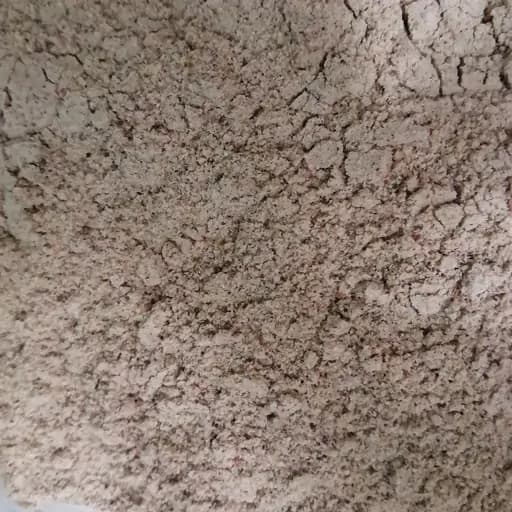 پودر هفت بذر 100 گرم — تصویر ۲