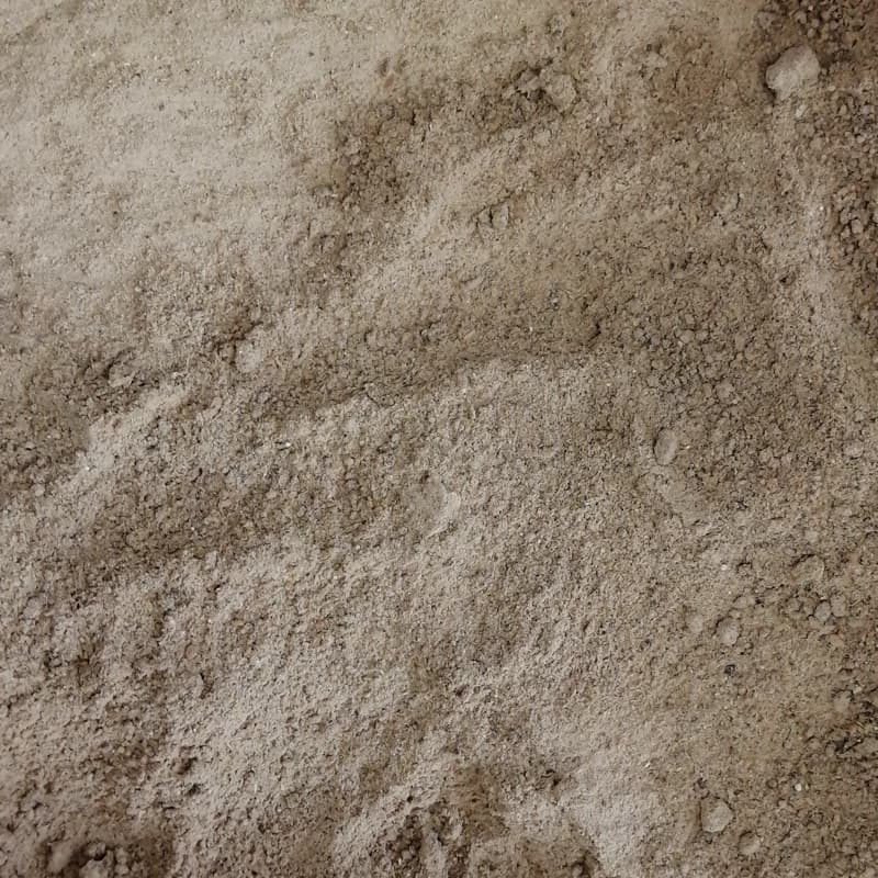 پودر موسیر (75 گرمی)