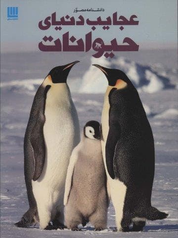 دانشنامه مصور عجایب دنیای حیوانات (گلاسه،شمیز،رحلی،سایان)