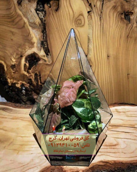 فروش تراریوم برای طراحی پاسیوهای مدرن