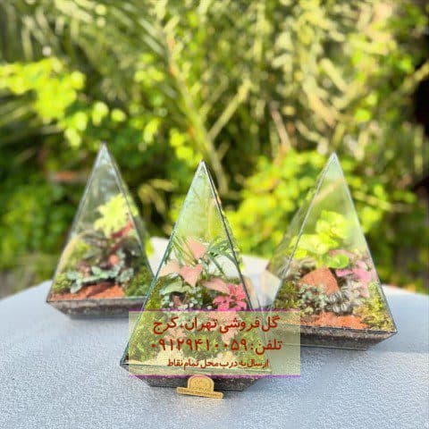 فروش تراریوم برای طراحی فضای استراحت کارمندان