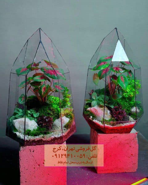 فروش تراریوم برای دکوراسیون سرویس بهداشتی