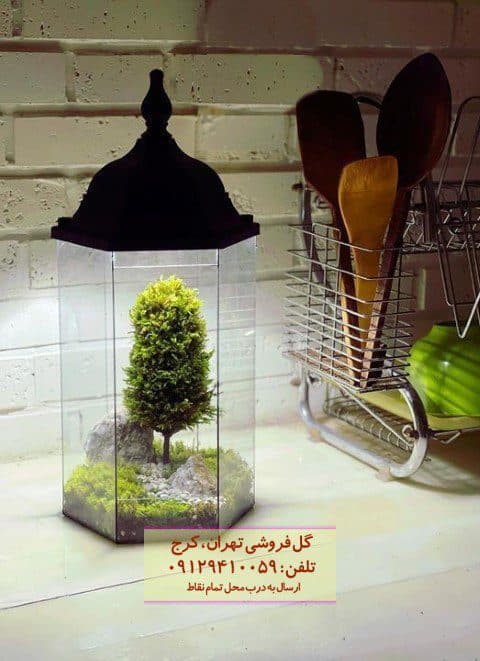 تراریوم مناسب برای دکوراسیون میزهای مدیریتی