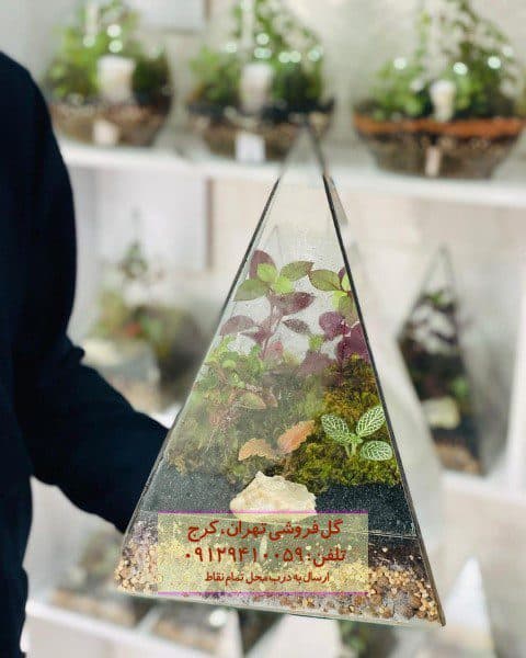 تراریوم مناسب برای تزئین پنجرههای جنوبی