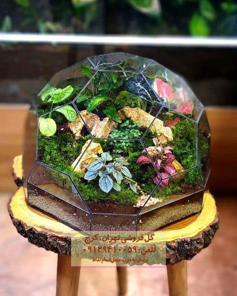 تراریوم مناسب برای دیزاین میزهای کوچک