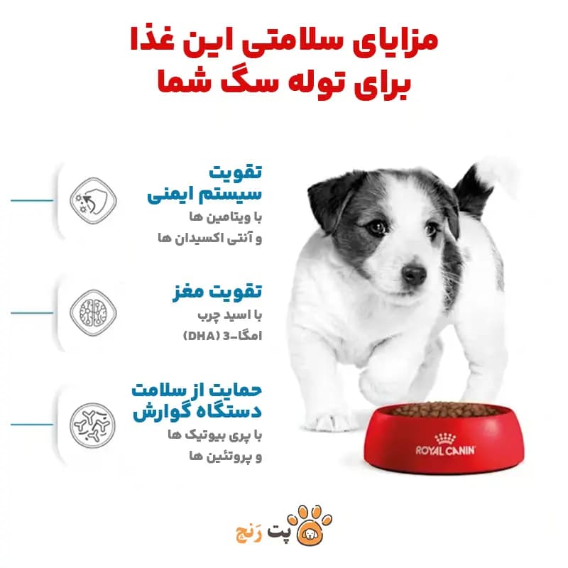 غذای خشک سگ مینی پاپی رویال کنین MINI PUPPY — تصویر ۵