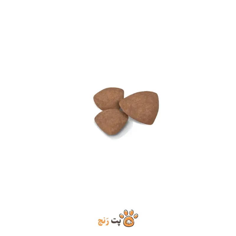 غذای خشک سگ مینی پاپی رویال کنین MINI PUPPY — تصویر ۷