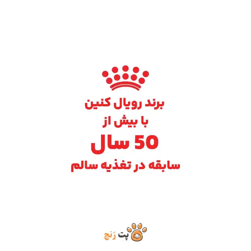 غذای خشک سگ مینی پاپی رویال کنین MINI PUPPY — تصویر ۸